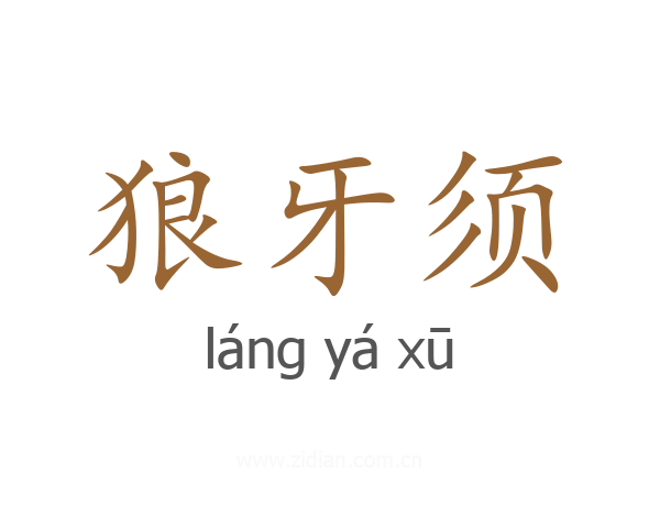 狼牙须