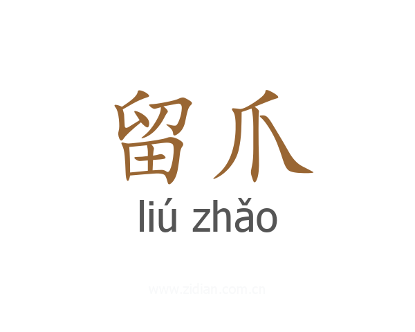 留爪