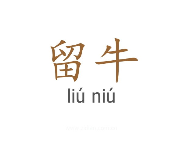 留牛