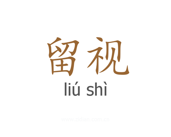 留视