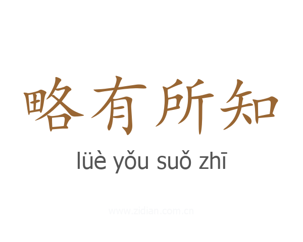 略有所知