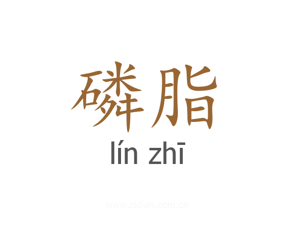 磷脂