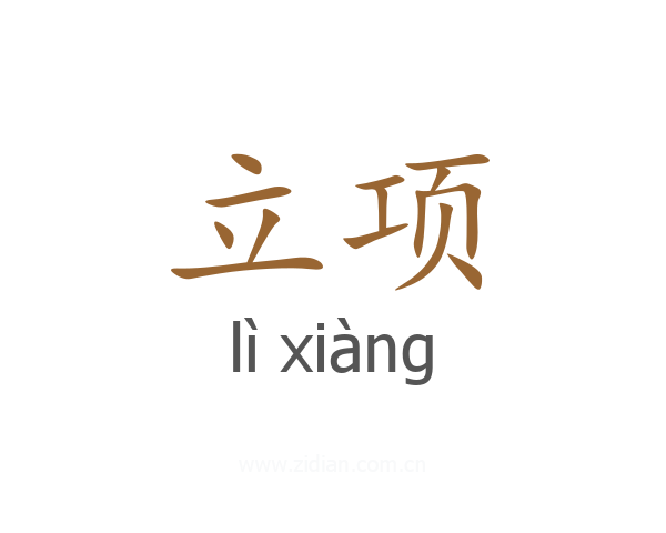 立项