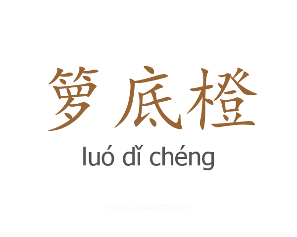 箩底橙