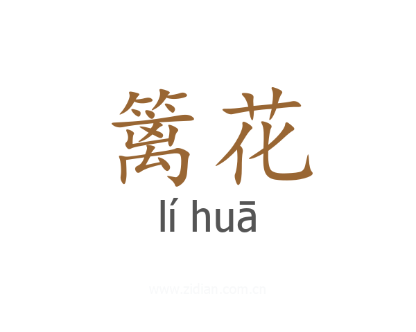 篱花