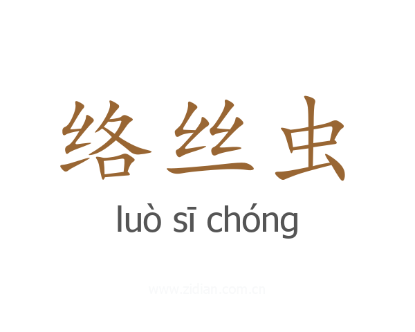 络丝虫