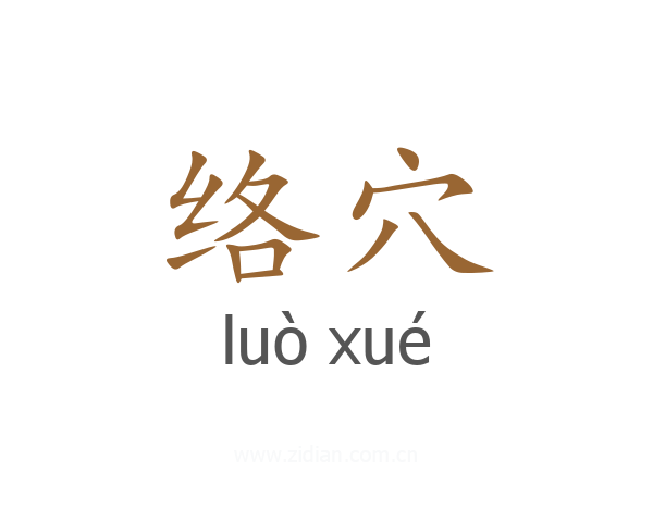 络穴