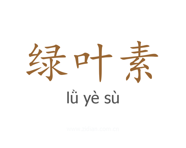绿叶素