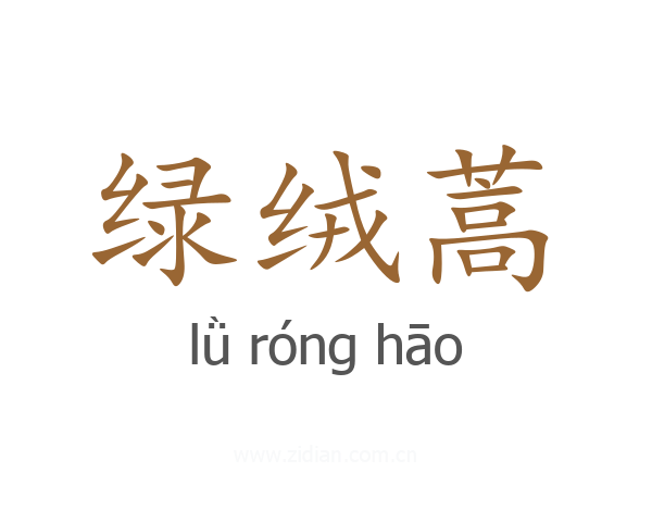 绿绒蒿