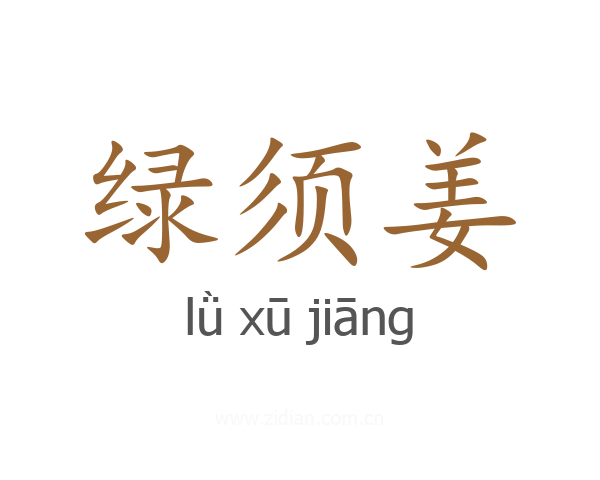 绿须姜