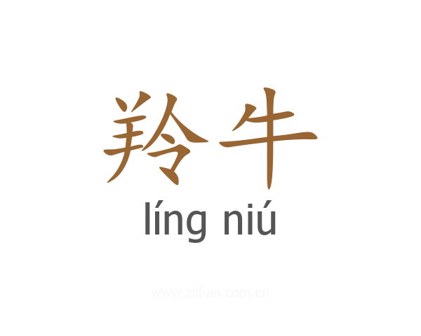 羚牛