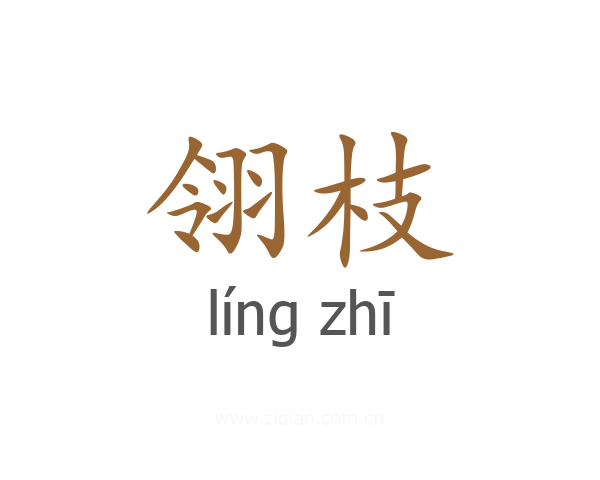 翎枝