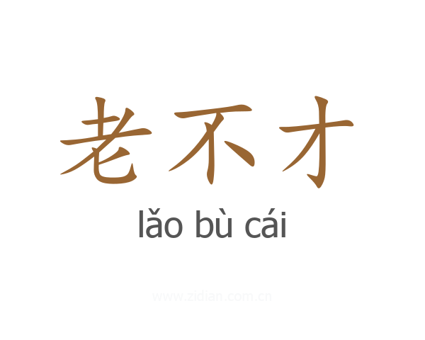 老不才