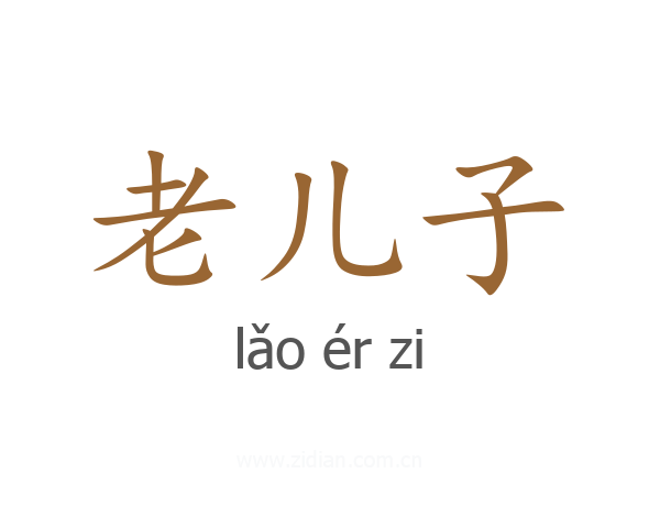 老儿子
