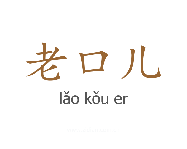 老口儿