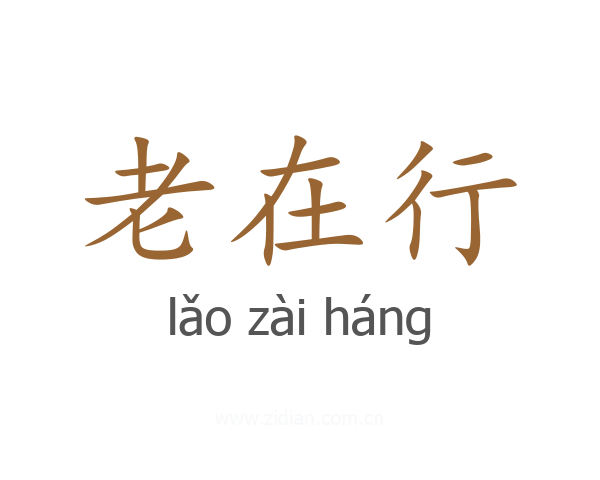 老在行