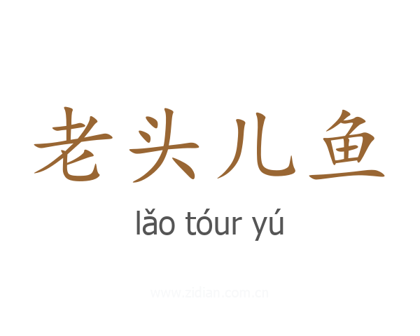 老头儿鱼