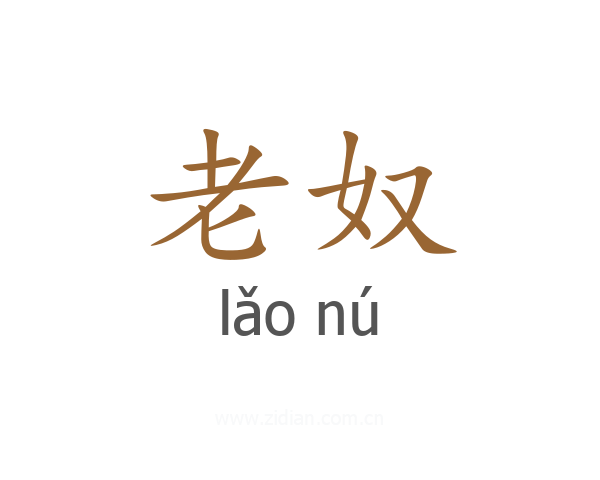 老奴