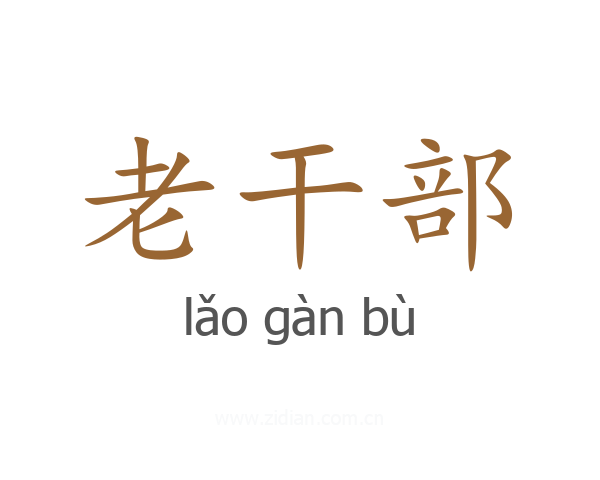 老干部