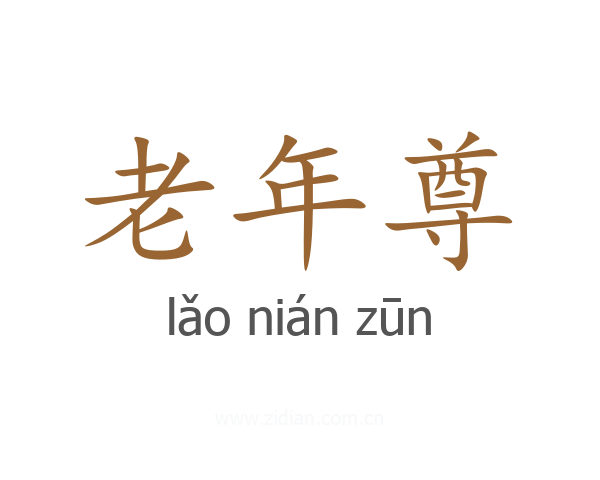 老年尊