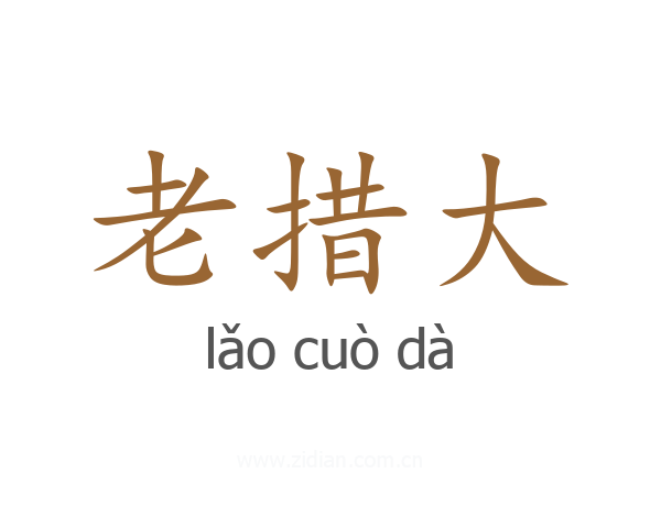 老措大