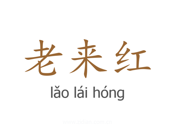 老来红