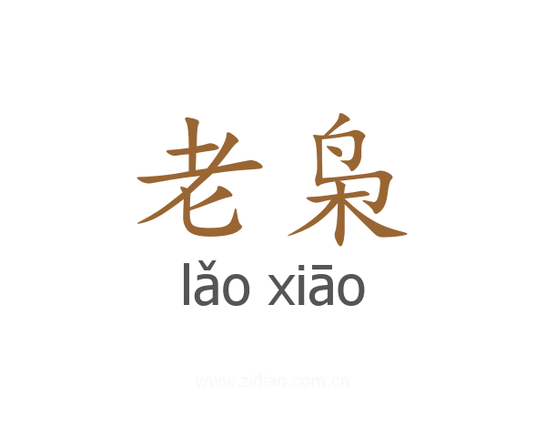 老枭