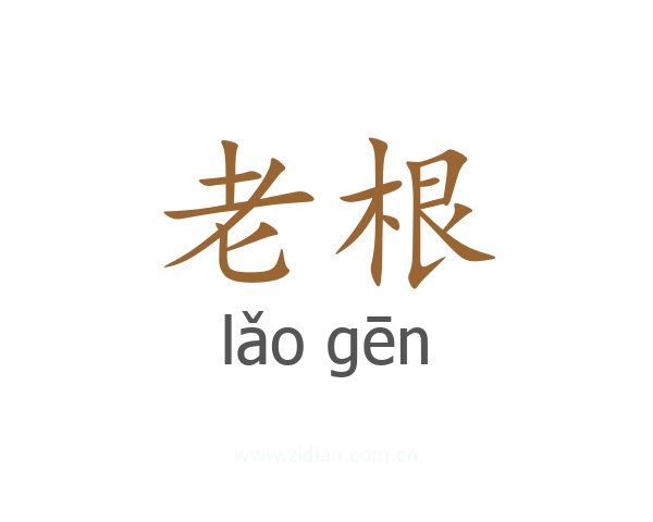 老根