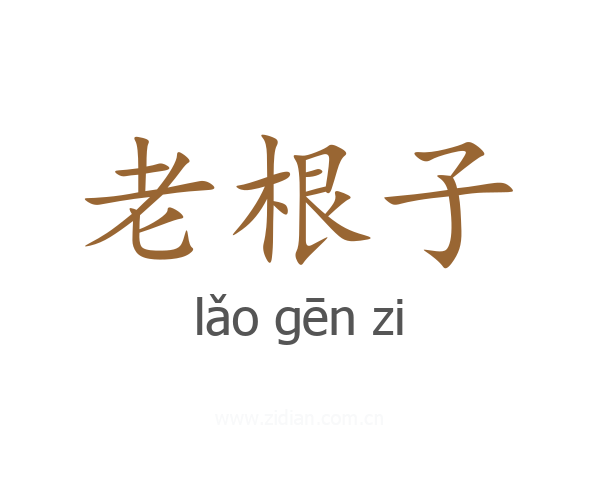 老根子