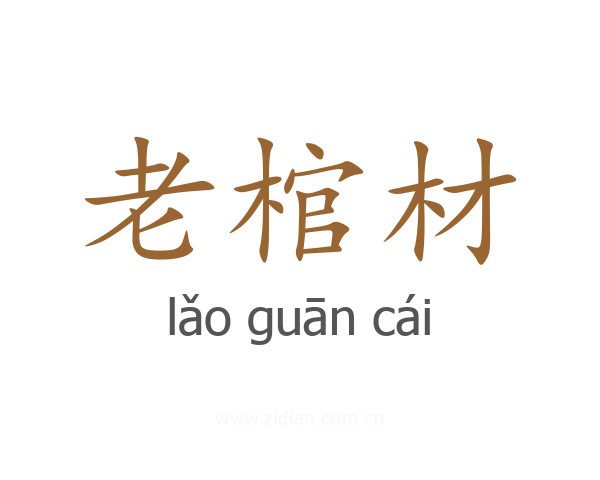 老棺材