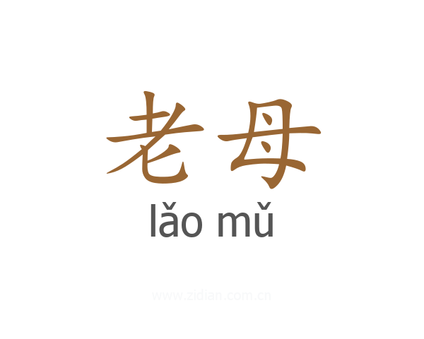 老母
