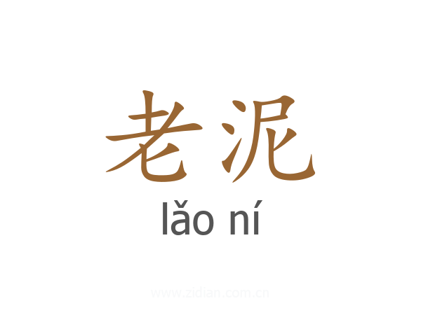 老泥