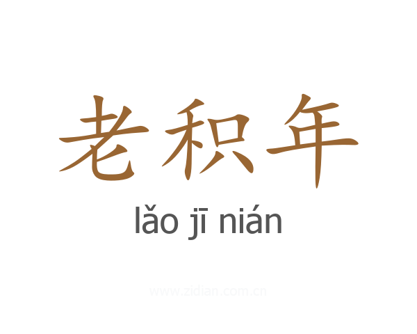 老积年