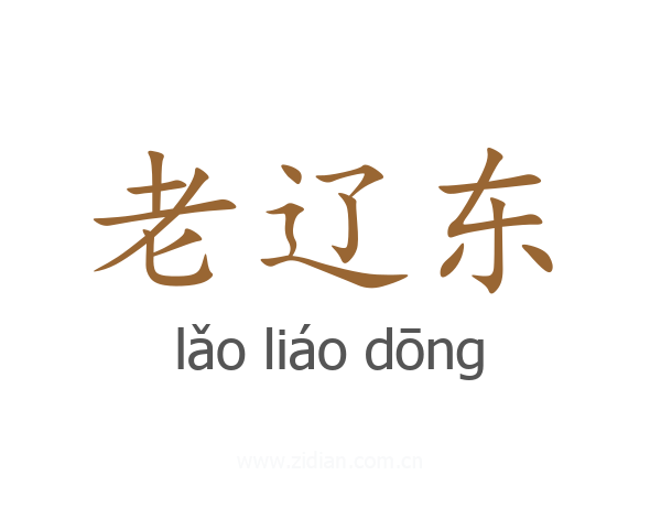 老辽东
