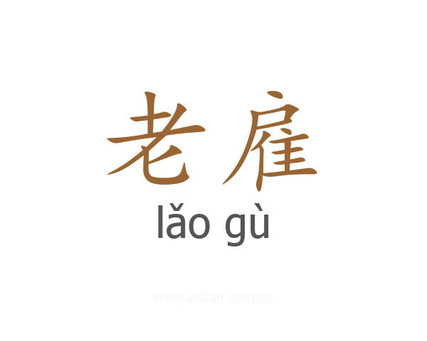 老雇