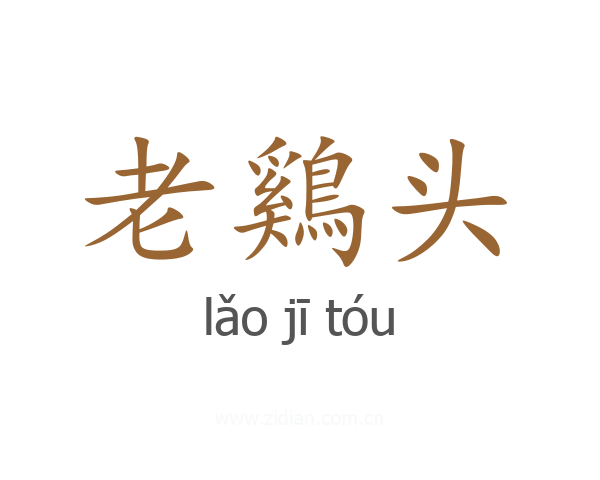 老鷄头