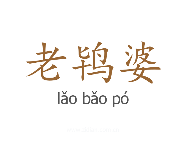 老鸨婆