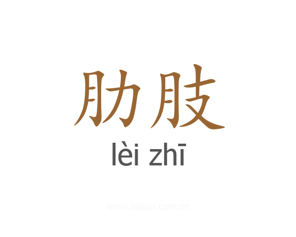 肋肢