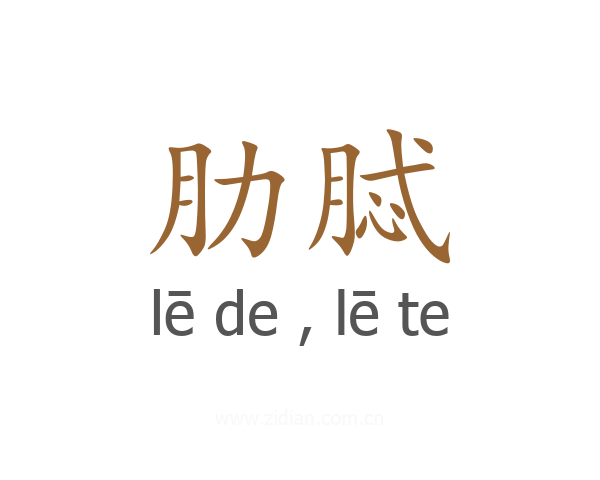 肋脦