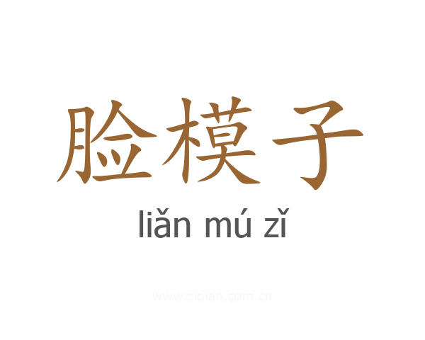 脸模子