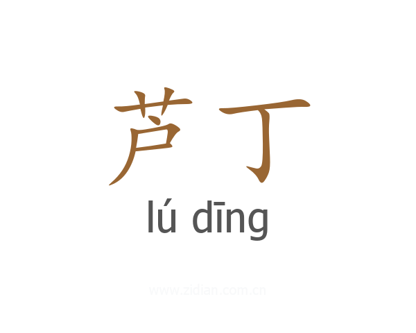 芦丁
