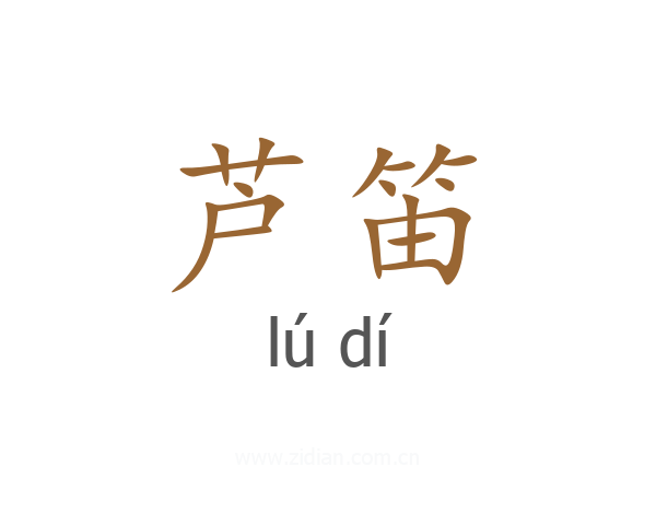 芦笛