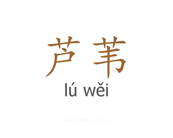 芦苇
