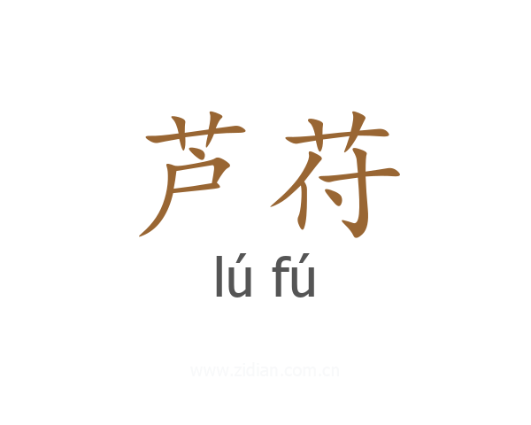 芦苻