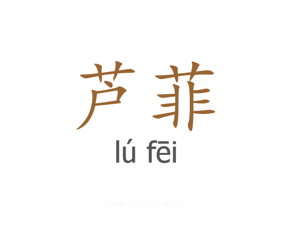 芦菲