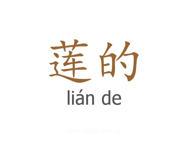 莲的