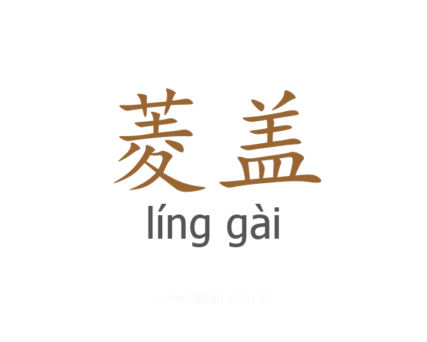 菱盖
