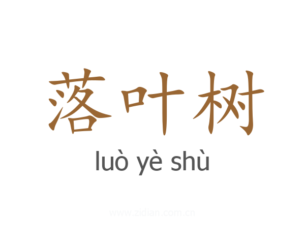 落叶树