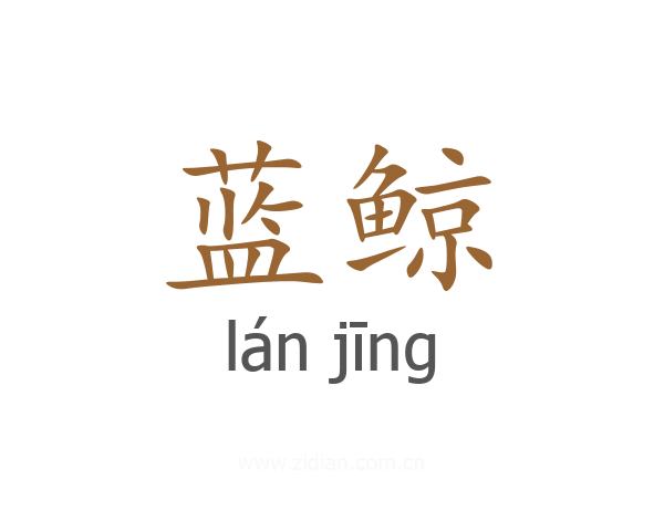 蓝鲸