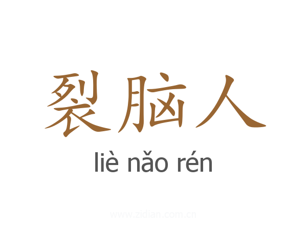 裂脑人